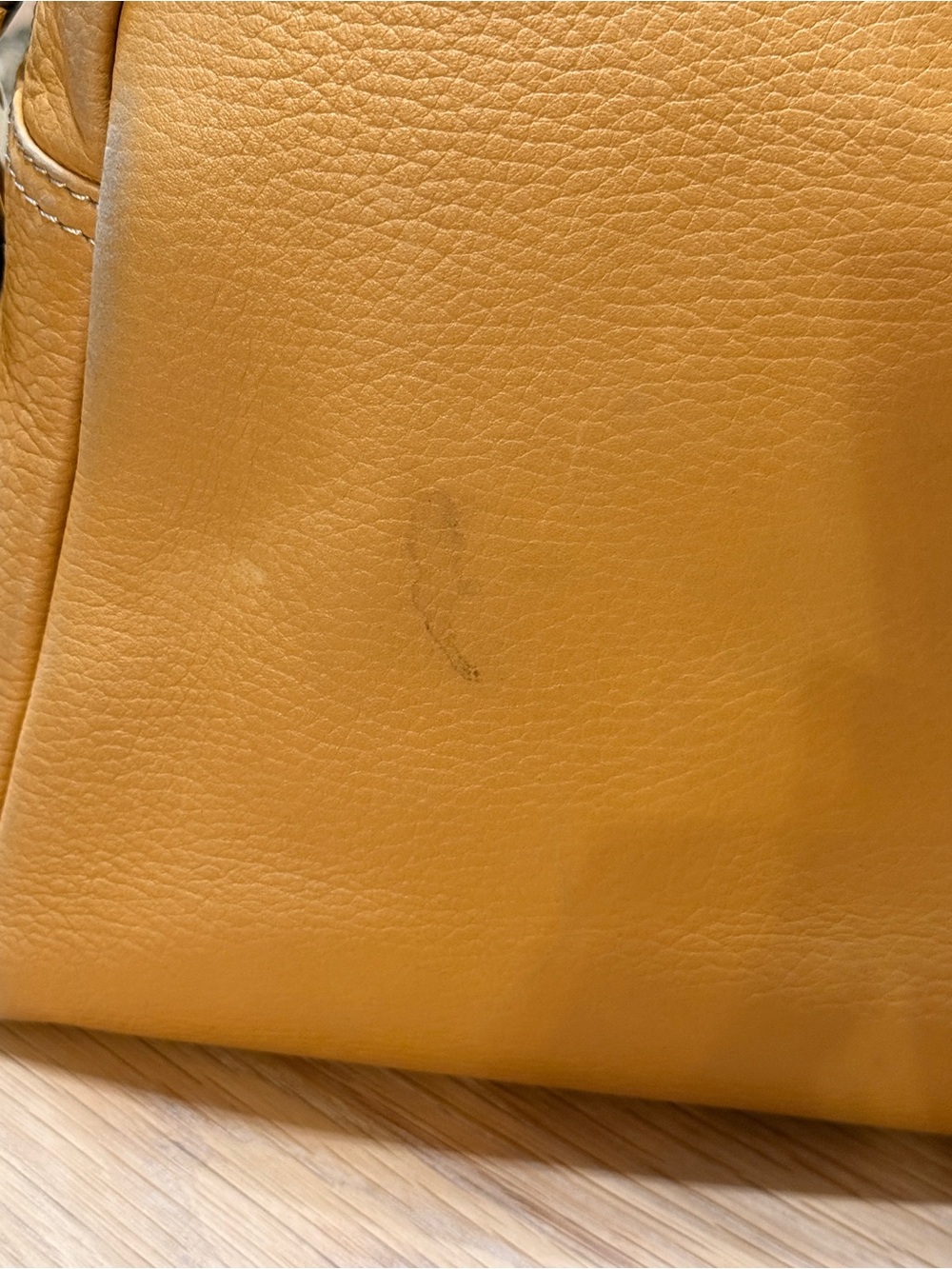 Loewe Vintage Anagram Embossed Camel Gold Leather Camera Shoulder Bag Amazona - Picture 9 of 10